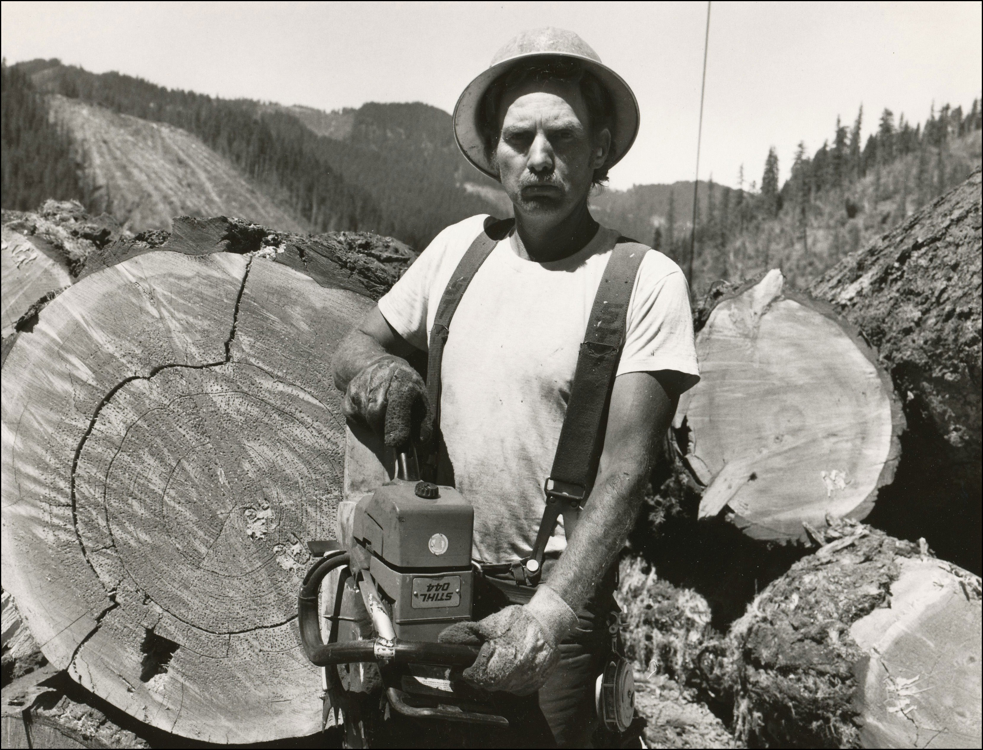 Logger with chainsaw standing in front of large logs