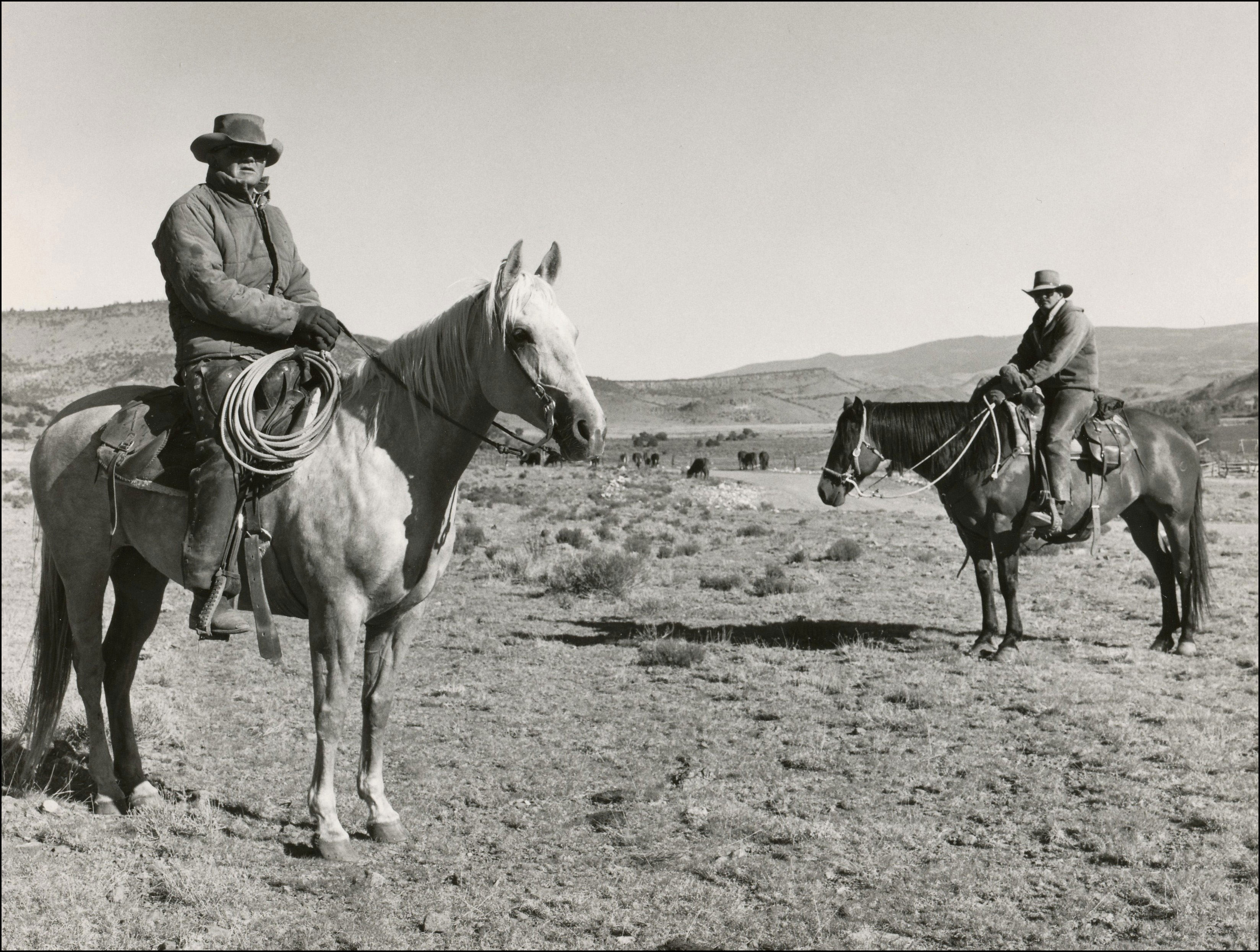 two ranchers on horses with cattle in the background
