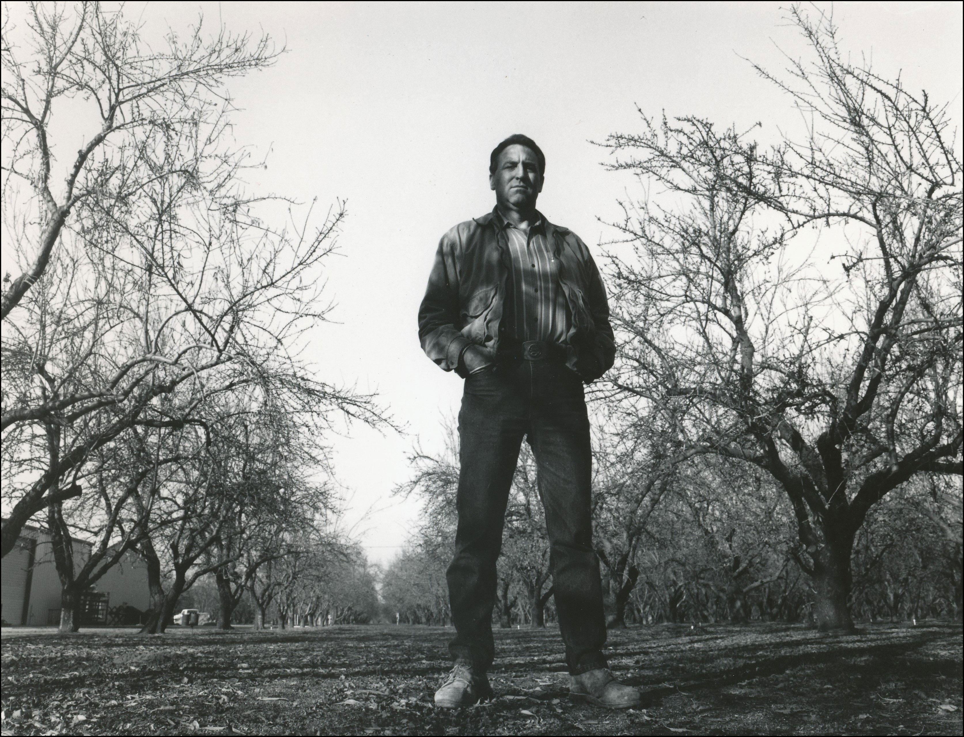 Man standing outside in trees with hands in pocket