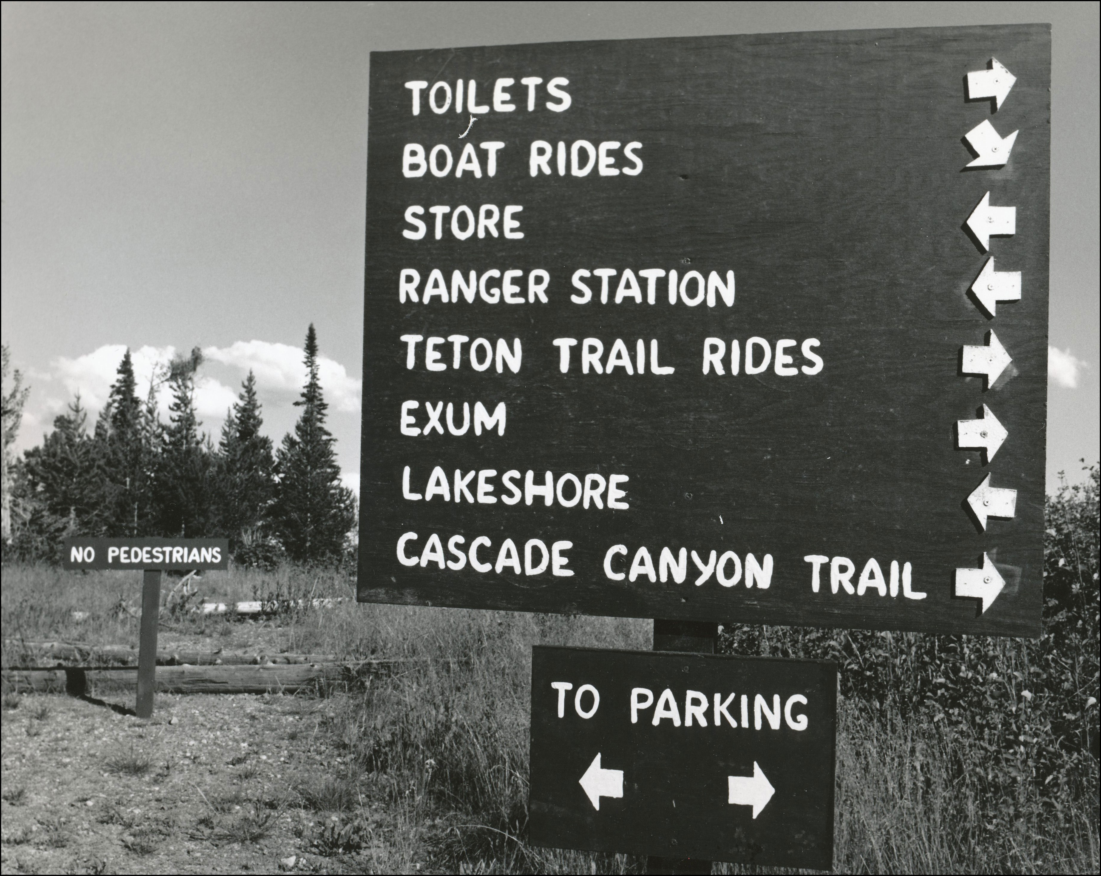 Sign at a national park pointing out different places to go, with one in the background that says No Pedestrians. Main sign lists with arrows to each Toilets, Boat Rides, Store, Ranger Station, Teton Trail Rides, Exum, Lakeshore, Cascase Canyon Trail. Grass and Pine trees in the background.