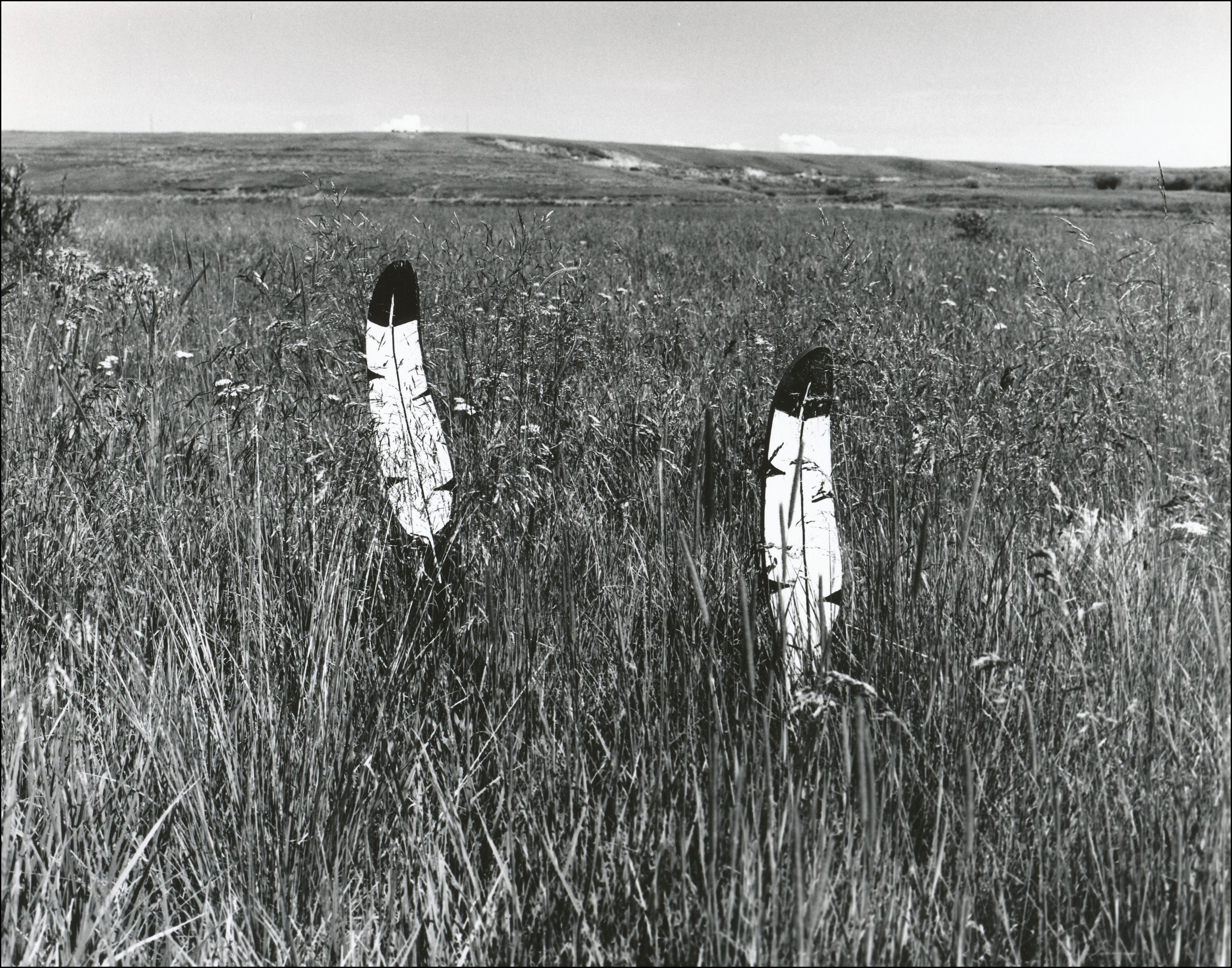 Open field with medium height grass. Two feathers are in the grass in the front of the picture that act as dead Indian markers